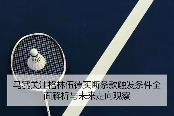 马赛关注格林伍德买断条款触发条件全面解析与未来走向观察